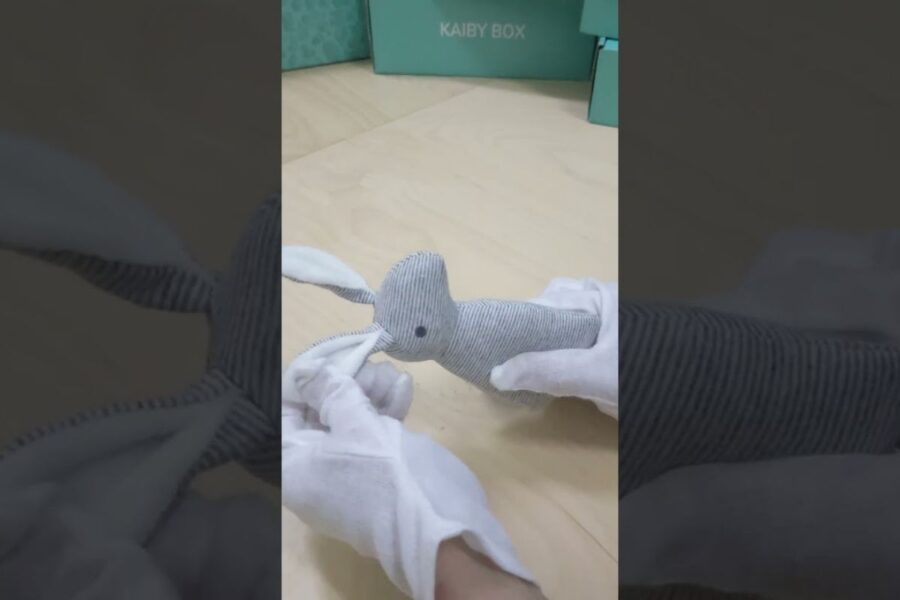 Cute Rabbit Rattle Video Thumbnail