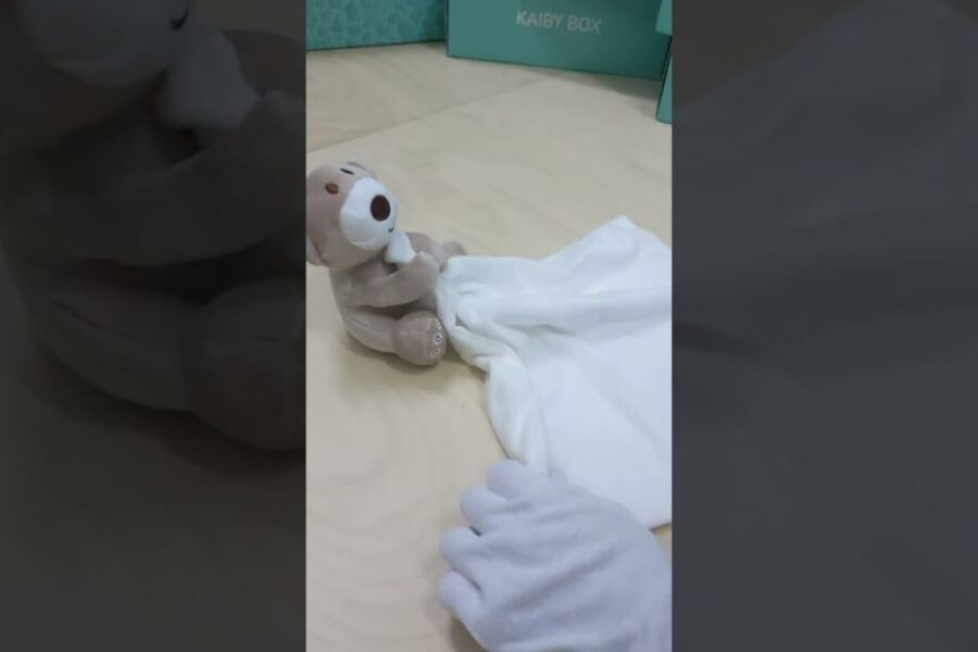 Comfy Mini Bear Video Thumbnail