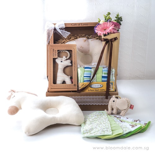 Bloomdale Baby Hamper Photo 2