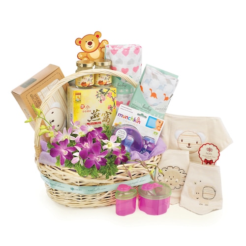 Noel Gift Baby Hamper Photo 3