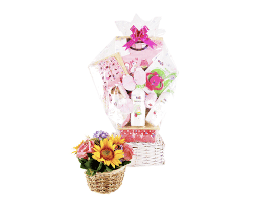 That Flower Shop Baby Hamper Photo 2