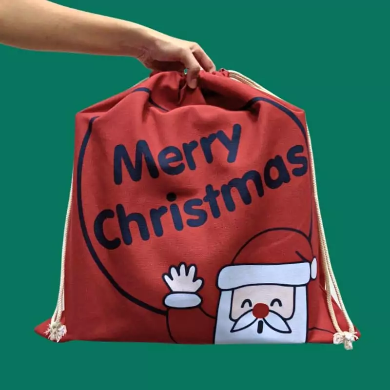 Christmas Gift Bag