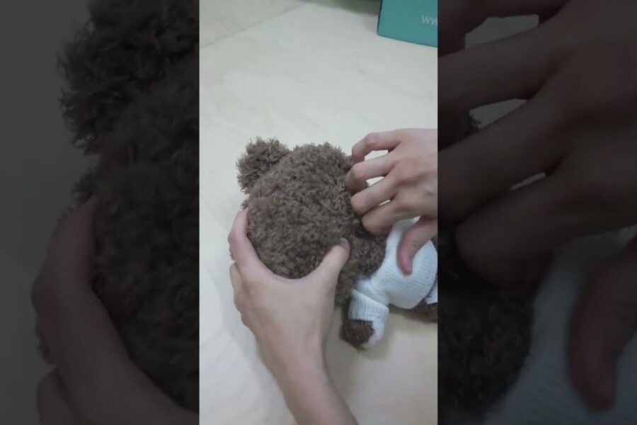 Kaiby Bear Video Thumbnail