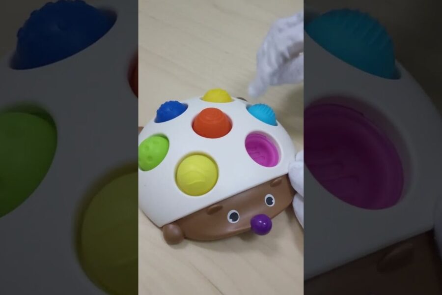 Hedgehog Colourful Busy Board Video Thumbnail