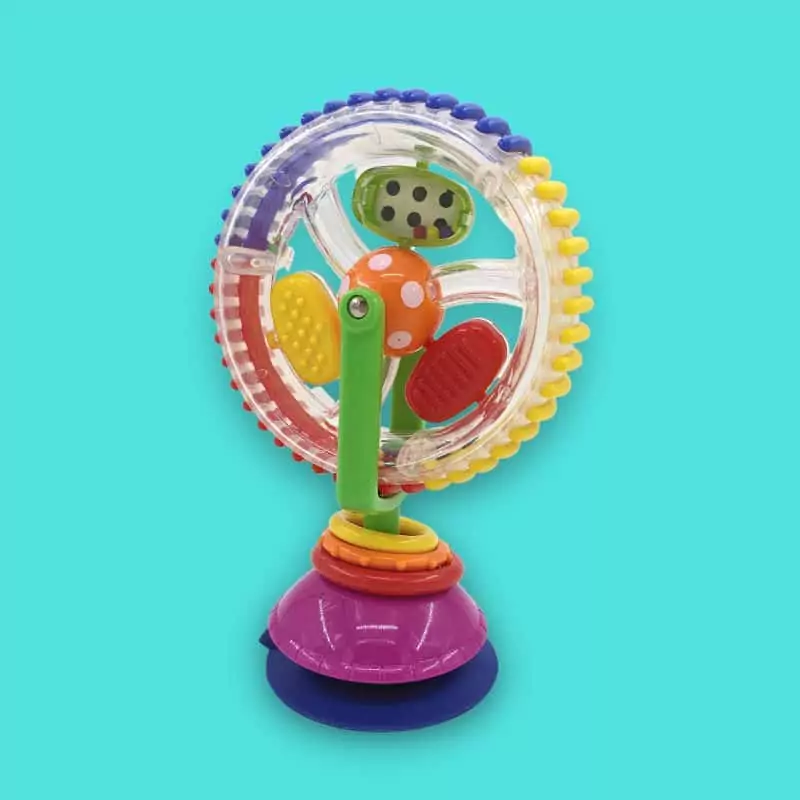 Ferris Wheel Activity Toy