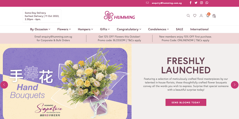 Screenshot of Hummings Flowers & Gifts Website
