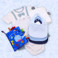 Classic Baby Gift Sets (Little Boy) v2