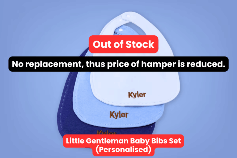 Little Gentleman Baby Bibs Set No Replacement (2)