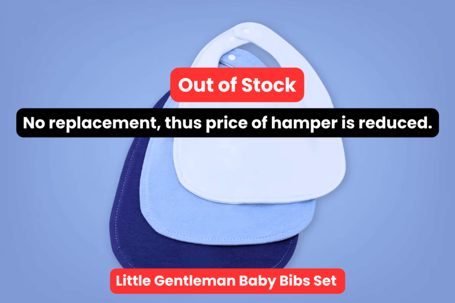 Little Gentleman Baby Bibs Set No Replacement